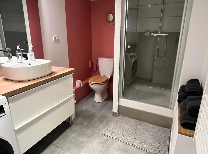 Le Remois Cosy Hyper Centre * Reims