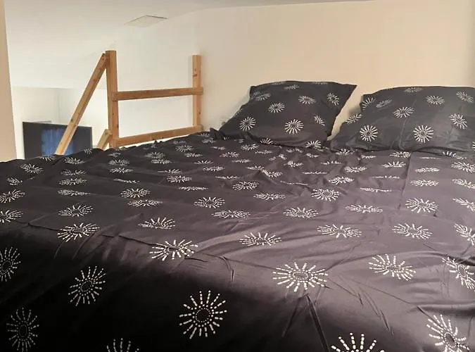 Le Remois Cosy Hyper Centre * Reims