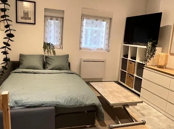 Apartamento Le Remois Cosy Hyper Centre *