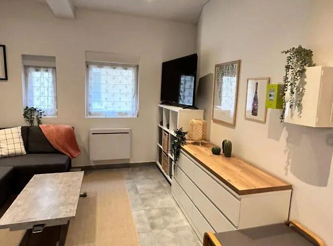 Le Remois Cosy Hyper Centre * Reims